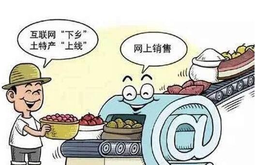 發(fā)力農(nóng)村電商，成都網(wǎng)站建設(shè)